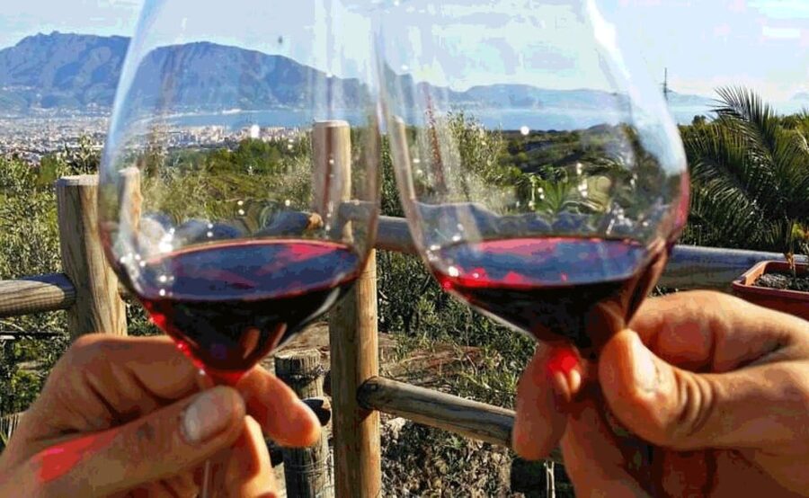 From Sorrento: Pompeii & Mt. Vesuvius Tour with Lunch & Wine - Walking, weather, and what to pack