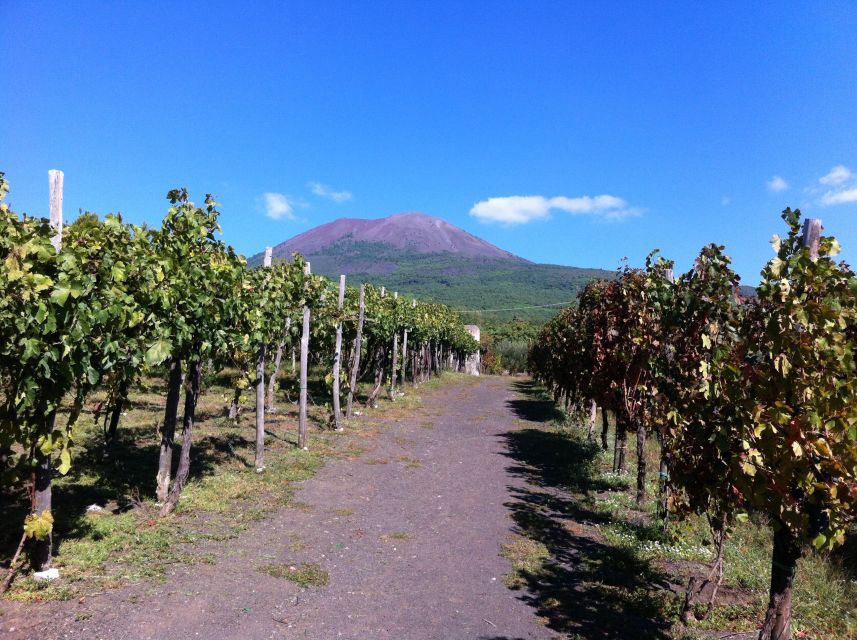 From Sorrento: Skip-the-Line Guided Vesuvius Hike and Lunch - Key points to know before booking