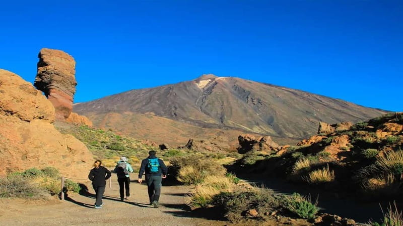 From South Tenerife: Half-Day Tour to Mount Teide - Key points to know before booking