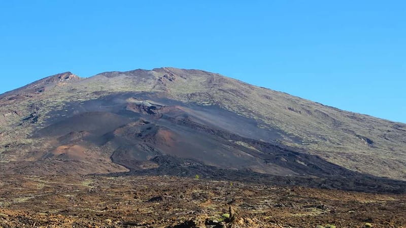 From South Tenerife: Half-Day Tour to Mount Teide - Why this half-day Teide tour works well