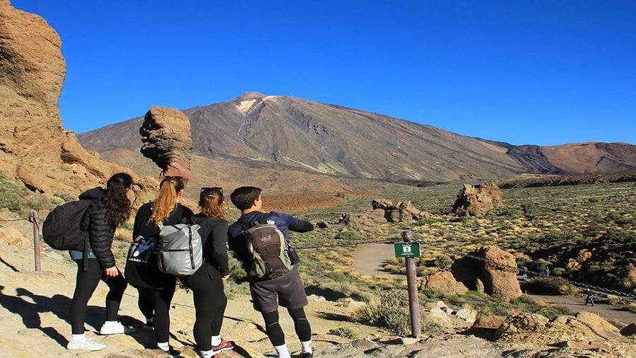 From South Tenerife: Half-Day Tour to Mount Teide - What the guide adds to the ride