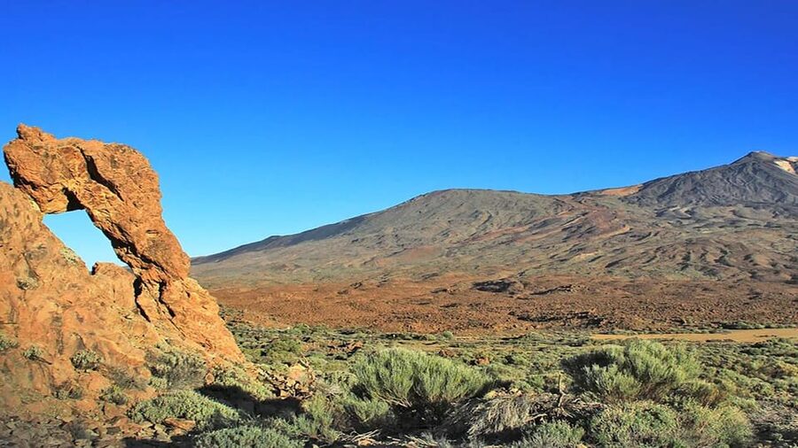 From South Tenerife: Half-Day Tour to Mount Teide - Who should book this excursion?