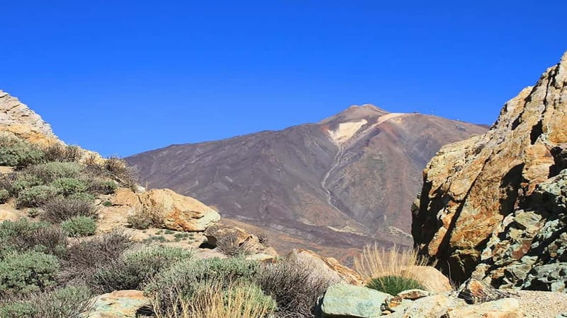 From South Tenerife: Half-Day Tour to Mount Teide - Booking details and useful planning tips