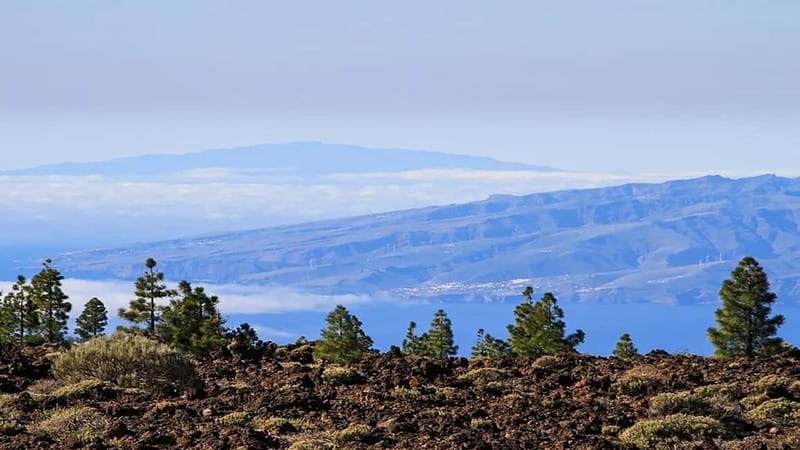 From South Tenerife: Half-Day Tour to Mount Teide - From South Tenerife to Vilaflor