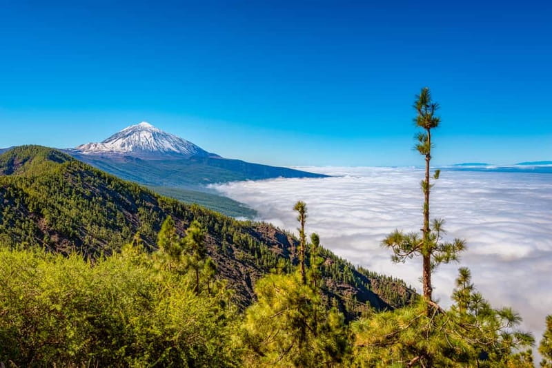 From South Tenerife: Mount Teide Hiking Day Trip & Cable Car - How to prepare for the altitude and weather