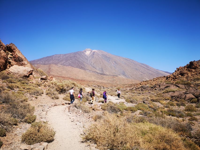 From South Tenerife: Teide National Park Tour - Leaving Costa Adeje for Vilaflor