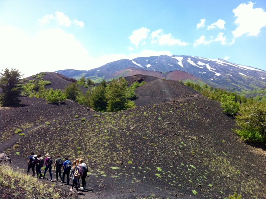 From Syracuse: Etna Tour with Light Lunch and Wine Tasting - The day at a glance