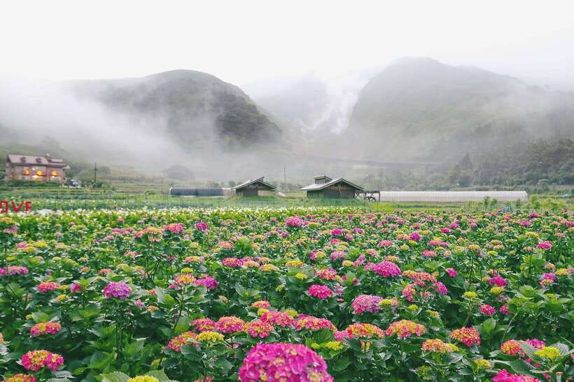 From Taipei: Private Yangmingshan Volcano and Nature Tour - Xiaoyoukeng at 805 meters