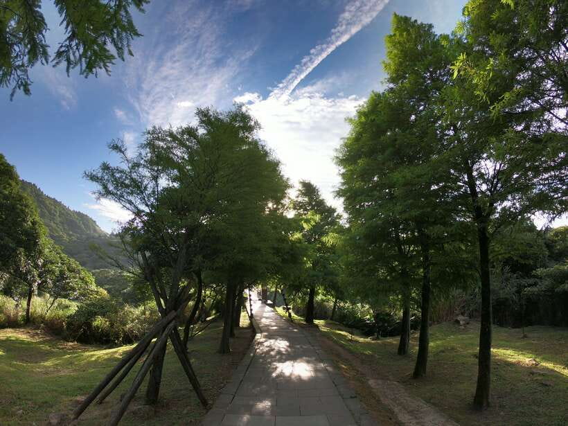 From Taipei: Private Yangmingshan Volcano and Nature Tour - Lengshuikeng and the optional hot spring