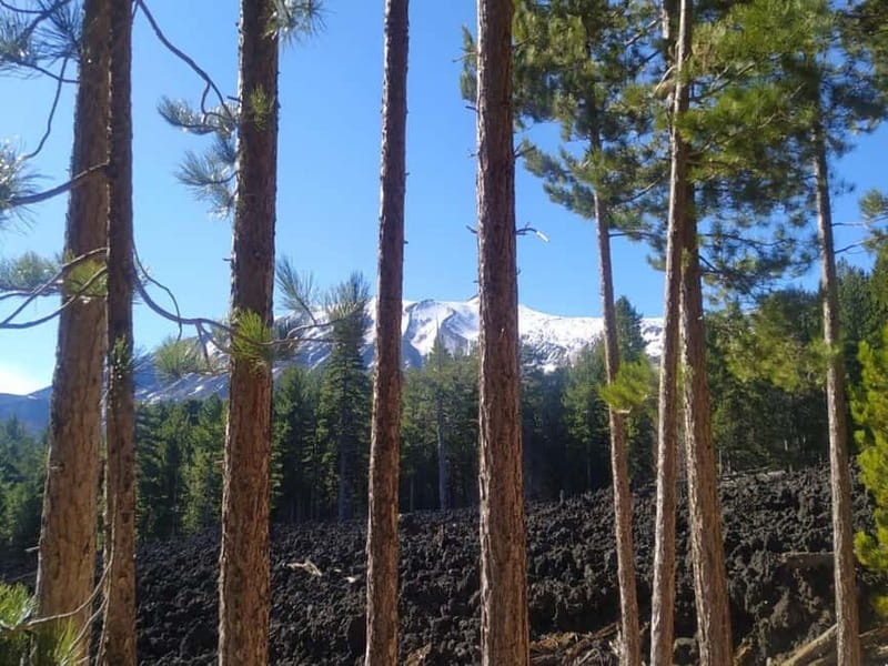 From Taormina: Etna Walking Tour and Wine Tasting in Winery - The ride up to 2,000 meters
