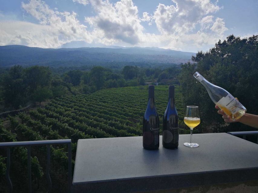 From Taormina: Etna Wineries Small Group Tour - Why Etna wine is worth a full day