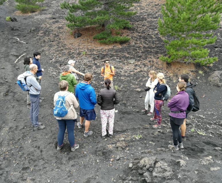 From Taormina: Full-Day Etna, Wine & Alcantara Canyons Tour - Walking Etna at 2,000 meters