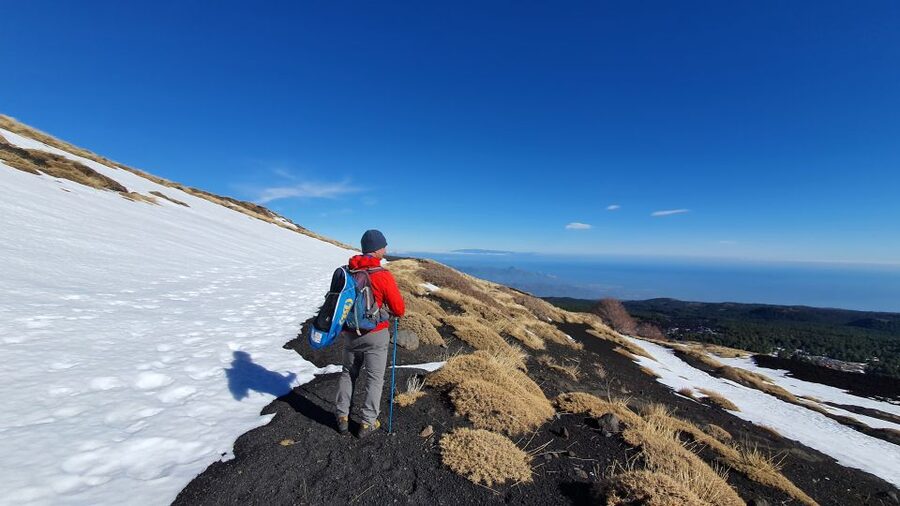 From Taormina: Guided Trip to Mt. Etna and Alcantara Gorges - Walking through Etna’s pine, birch, and crater forests