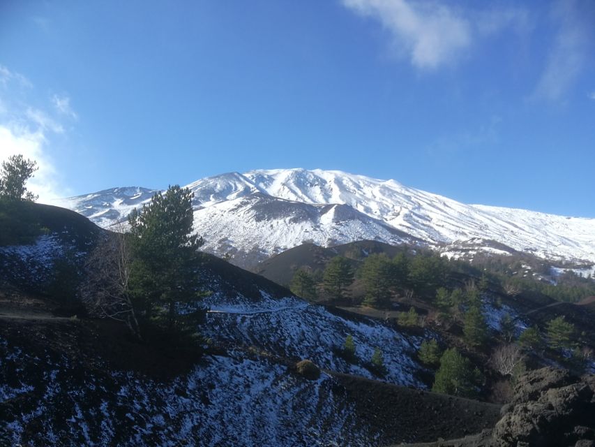 From Taormina: Half-Day Mount Etna Morning Trek - The lava cave is the tour’s strangest stop