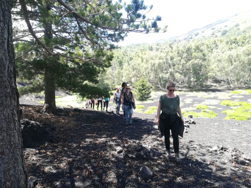 From Taormina: Half-Day Mount Etna Morning Trek - Practical details before you reserve