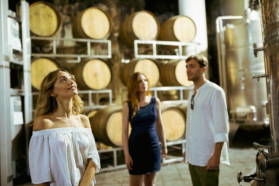 From Taormina: Mount Etna Food and Wine Tasting Tour - Limoncello and the Ride Home