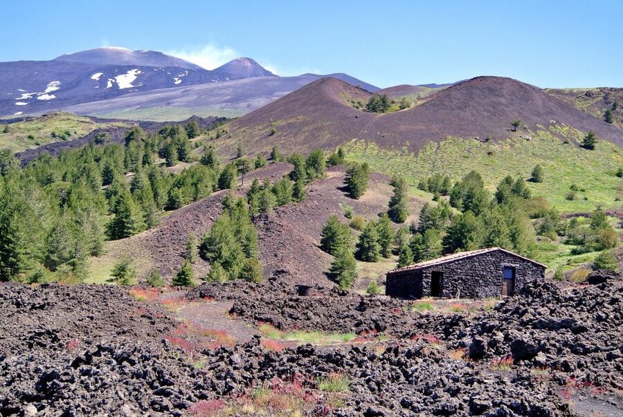 From Taormina: Mount Etna Guided Bus Tour - The five details that matter most