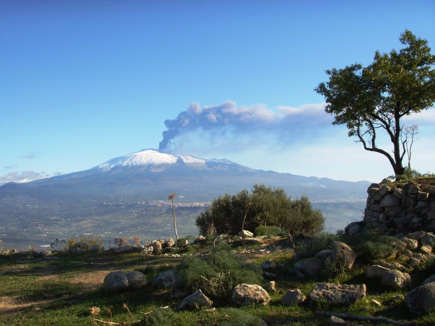 From Taormina: Mount Etna Guided Bus Tour - The optional ride toward 2,750 meters