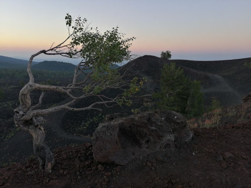 From Taormina: Mount Etna Half-Day Evening Hike - Two hours among craters and woodland