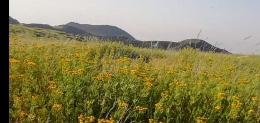 From Taormina, Naxos, & Letojanni: Mount Etna Half-Day Trip - The road to Etna: villages, lava, and changing colors