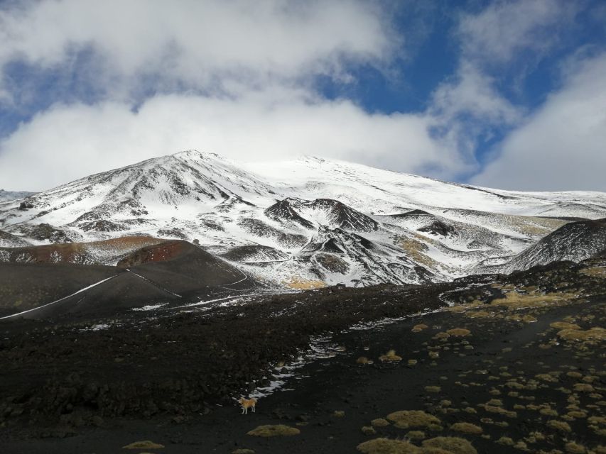 From Taormina or Catania: Private Full-Day Mount Etna Hike - Key Points About This Etna Hike