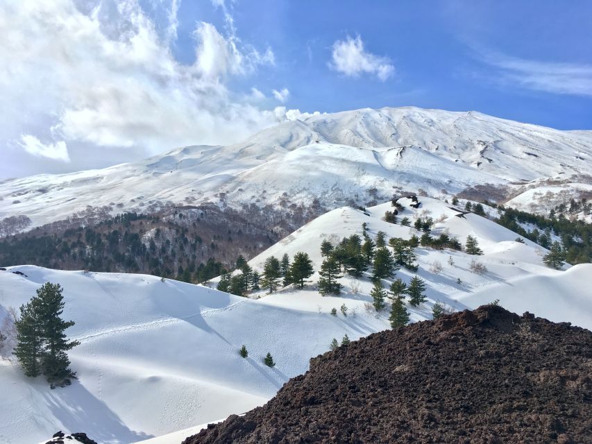 From Taormina or Catania: Private Full-Day Mount Etna Hike - What the Guide Adds to the Day