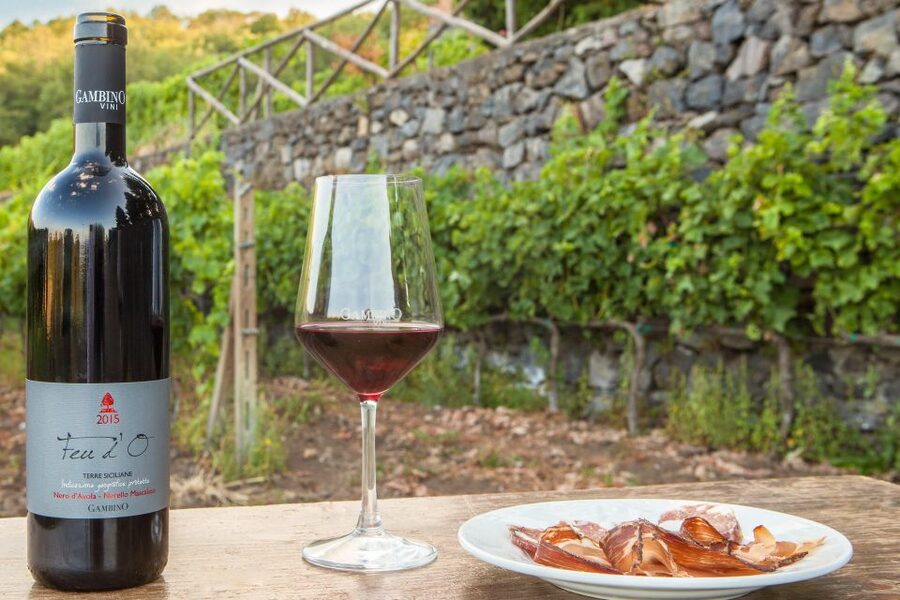 From Taormina: Private 3 Etna Wineries with Food & Wine - Why Etna wine is worth a full day