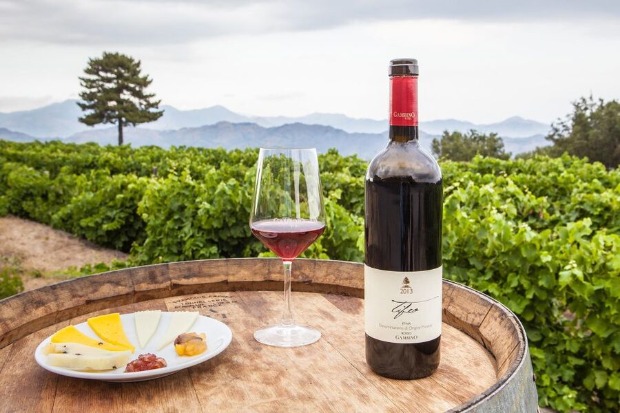 From Taormina: Private 3 Etna Wineries with Food & Wine - First stop: a small producer and three Etna DOC wines