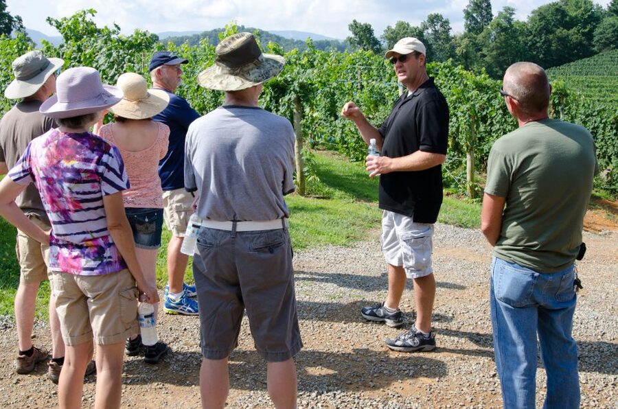From Taormina: Private 3 Etna Wineries with Food & Wine - The private car makes the day easier