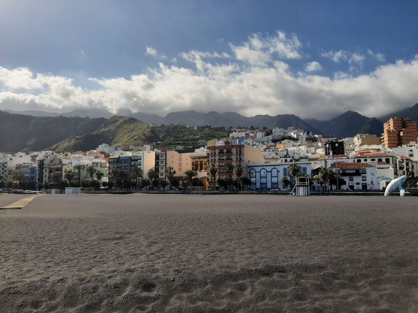 From Tenerife: Day Trip to La Palma Volcanic Landscapes - Who should book this excursion?