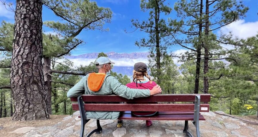 From Tenerife: Day Trip to La Palma Volcanic Landscapes - The guides are a major part of the value