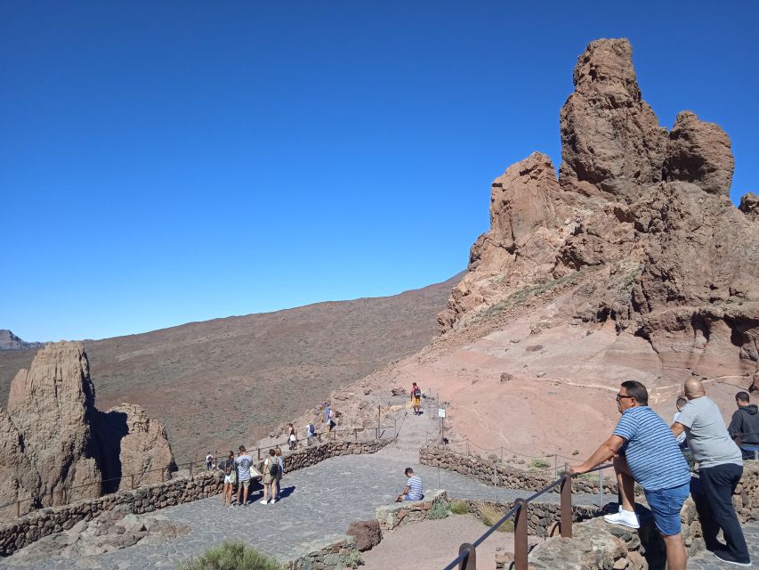 From Tenerife: Teide National Park Guided Day Trip by Bus - Who will enjoy this excursion most?