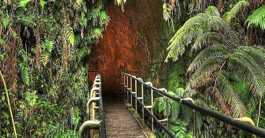 From the Big Island: Hawaii Volcanoes National Park Tour - Steam vents and the changing face of Kilauea