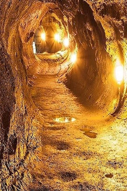 From the Big Island: Hawaii Volcanoes National Park Tour - The guide can make or break the long drive