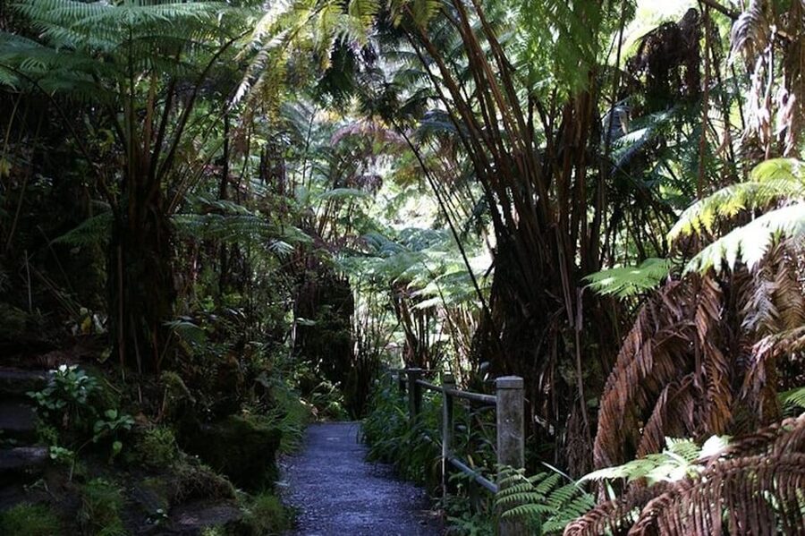 From the Big Island: Hawaii Volcanoes National Park Tour - Is $205 a fair price?
