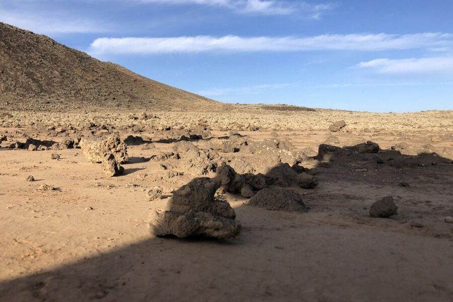 Fuerteventura: Calderón Hondo Volcano Tour - Families, activity levels, and accessibility