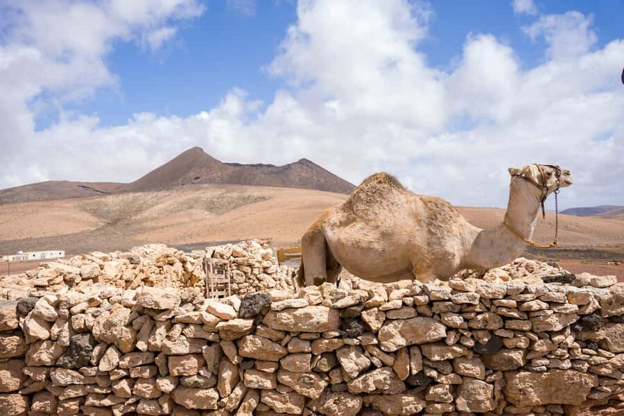 Fuerteventura: volcanic hike to the crater edge - Practical preparation for Gayria
