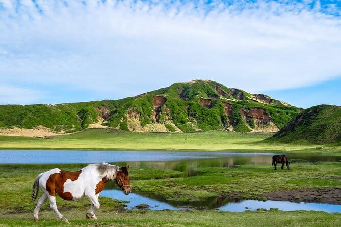 Fukuoka: Mount Aso Volcano, Kumamoto Castle, Grasslands Day Tour - Why this Fukuoka day trip makes sense