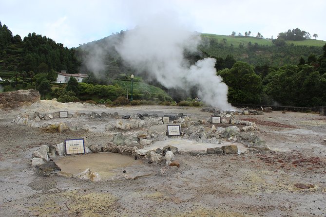 Full Day Furnas, Volcano stew and hot springs - Parque Terra Nostra: hot water and an 18th-century garden