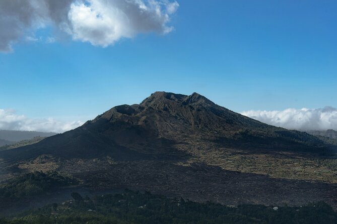 Full Day Kintamani Volcano View and Ancient Penglipuran Village - The private vehicle and driver make a difference