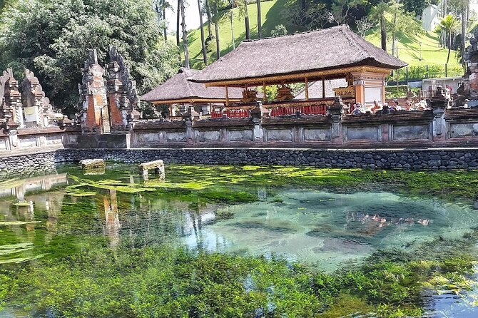 Full Day Kintamani Volcano View and Ubud Village Tour - Kintamani brings the mountain and volcano views