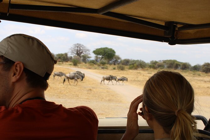 Full-Day Ngorongoro Crater private tour - Why Ngorongoro works as a one-day safari