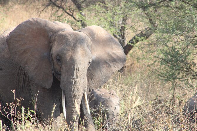 Full-Day Ngorongoro Crater private tour - Entering Ngorongoro Crater by custom 4x4