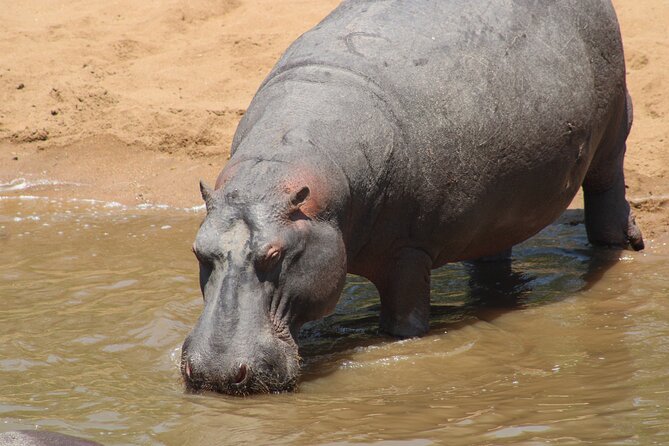Full-Day Ngorongoro Crater private tour - The people who will get the most from this trip