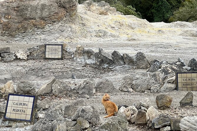 Full Day Private Tour in Furnas Valley Breath of the volcano - Caldeira das Furnas and the taste of spring water