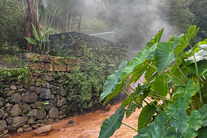 Full Day Private Tour in Furnas Valley Breath of the volcano - Gorreana Tea Factory and São Miguel’s greener side