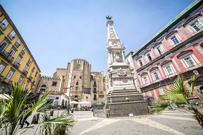 Full Day Private Tour of Naples and Vesuvius - What the driver service adds