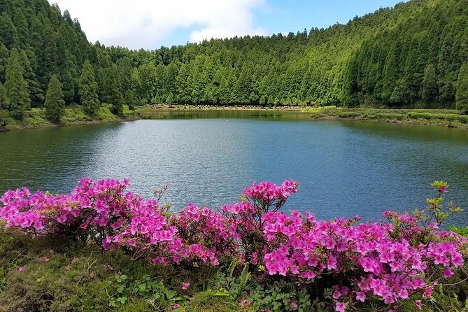 Full-Day Sete Cidades Crater Lake and Fire Crater Lake Private Tour - Pico Carvão and Lagoa do Canário add quieter views