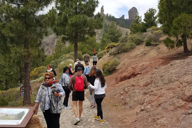 Full Day to Bandama Volcano, Center and High Peaks of Gran Canaria & Roque Nublo - Pico de las Nieves at 1,960 metres