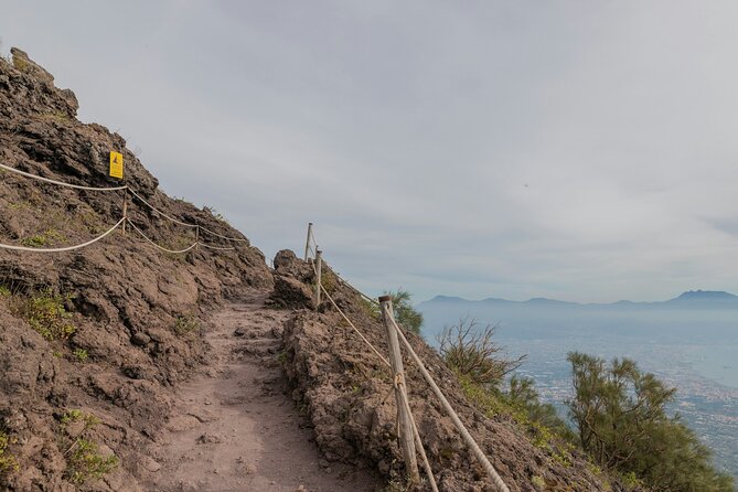 Full Day Tour to Pompeii, Vesuvius and Wine Tasting - What the $307.39 price really covers